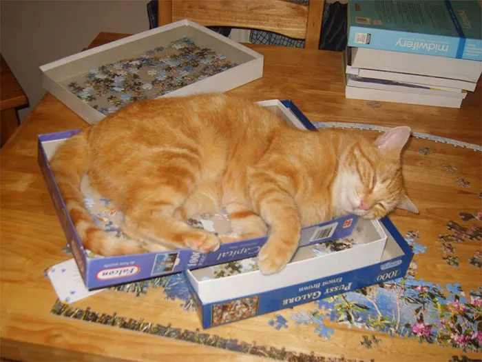 Resting In Pieces