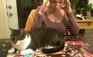 30 Photos That Show The Reality Of Trying To Finish A Puzzle With Your Cat