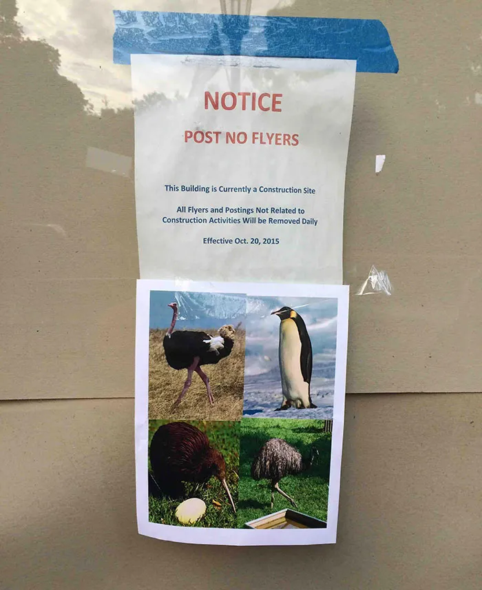 Some People Just Want To Watch The World Burn