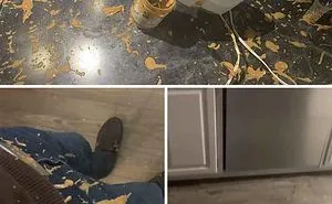 40 Photos Of People Having A Worse Quarantine Than You
