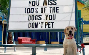 This Restaurant Is Winning The Funny Sign Game (35 Pics)