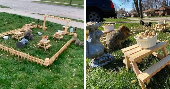 Man Uses Quarantine Time Creatively And Builds A Tiny Restaurant For Animals In His Yard