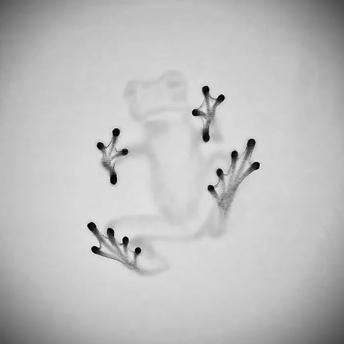 28 Three-dimensional Pencil Drawings By Willie Hsu