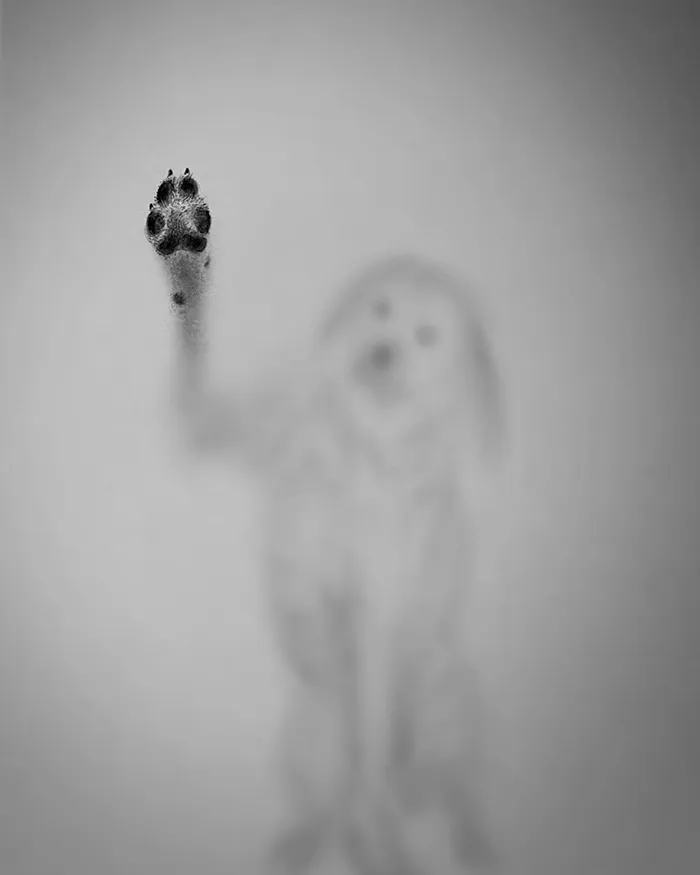 28 Three-dimensional Pencil Drawings By Willie Hsu