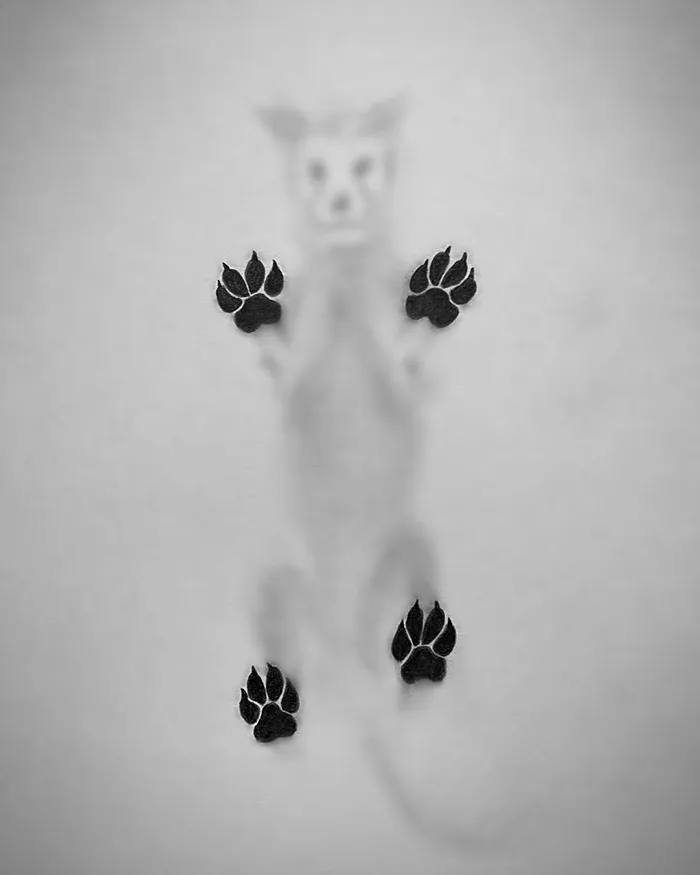 28 Three-dimensional Pencil Drawings By Willie Hsu