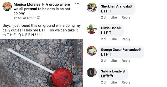 This Facebook Group Is Dedicated To People Pretending To Be Ants