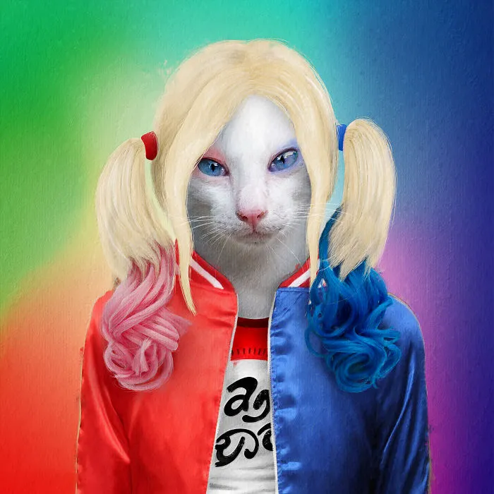Howl'ey Quinn