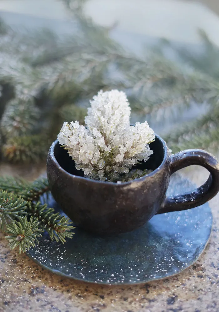 Frosted Branch Tea