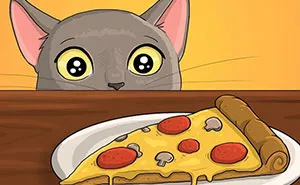 Artist Illustrates Everyday Life With A Cat In These 31 Relatable Comics