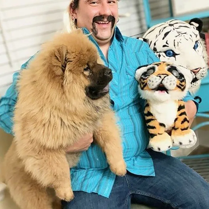 The Tiger King Challenge Is Now A Thing And Here Are 58 Of The Best Attempts At It
