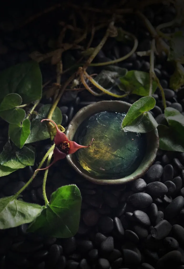 Labradorite Dessert
