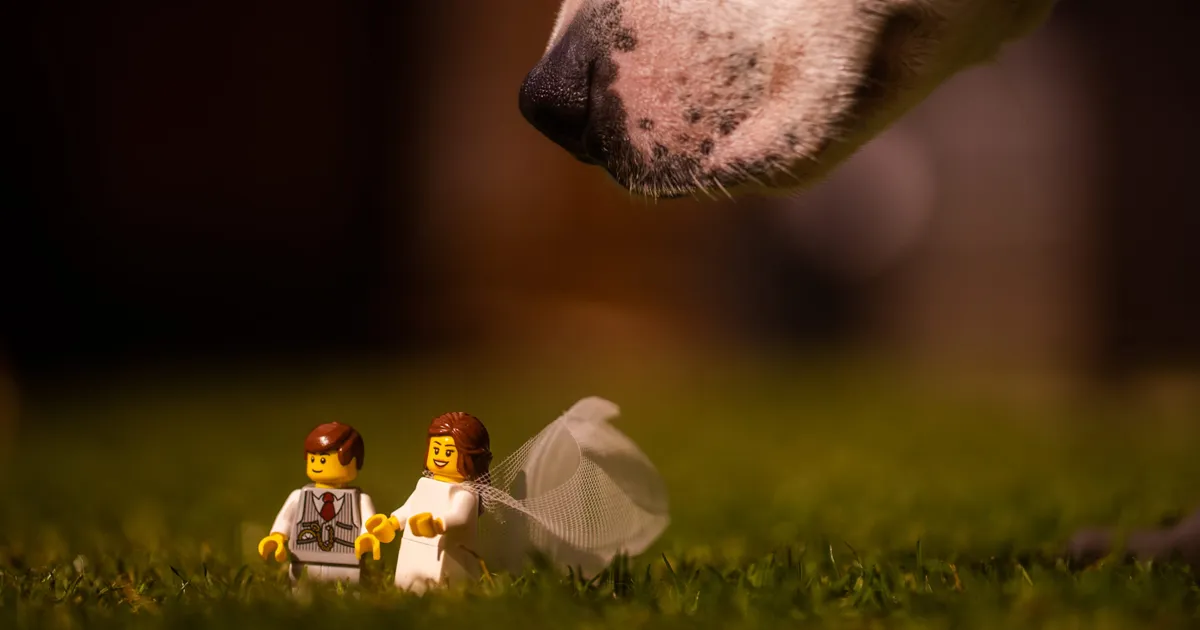 Isolated Photographer Shoots A Wedding Using His LEGOs And The Pics Are Hilariously Good