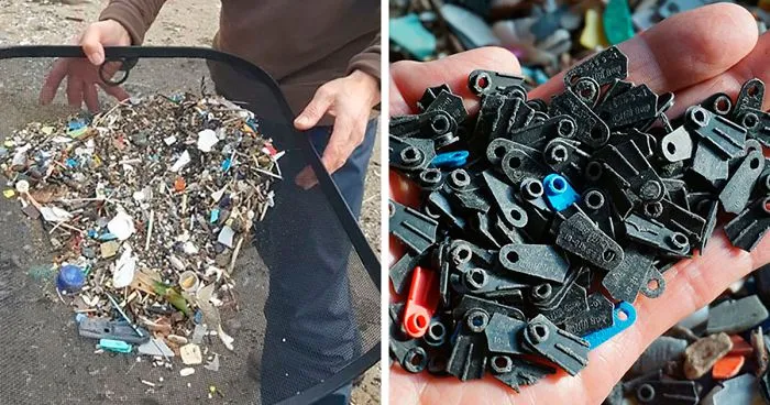 Man Takes Home 551lbs Of Trash From The Beach, Sorts It Out In His Backyard And Shares Interesting Finds
