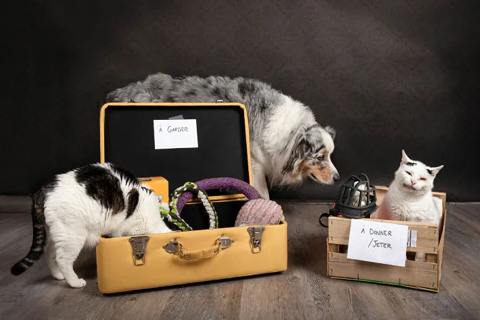 Decluttering