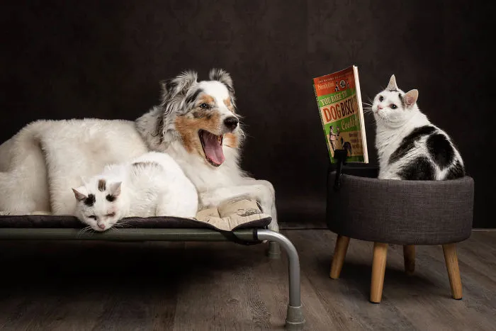 Bedtime Story