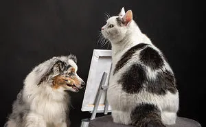 I Want To Bring A Smile To Your Face By Showing You The Silly Things My Pets Do During Lockdown (13 Pics)