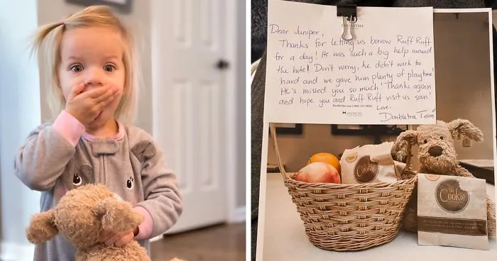 2-Year-Old Girl Loses Her Beloved Stuffed Dog At The Hotel, Staff Documents His Adventures Before Shipping Him Back Home
