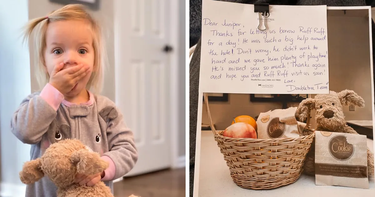 Esta niña de 2 años olvidó su querido peluche en un hotel, y el personal documentó sus aventuras antes de devolvérselo