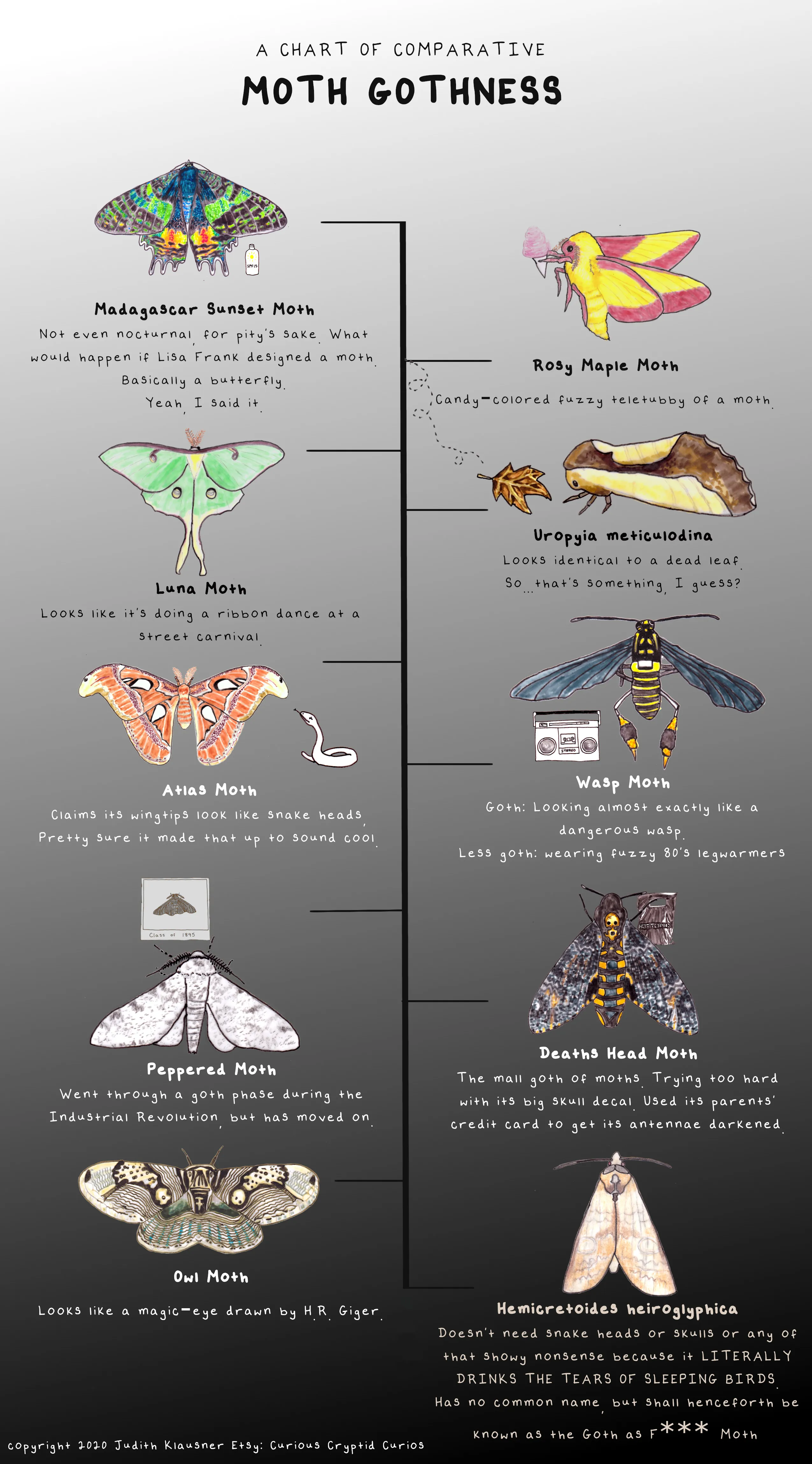I Made A Chart Comparing The Gothness Of Different Moths (Because The World Needs To Know!)