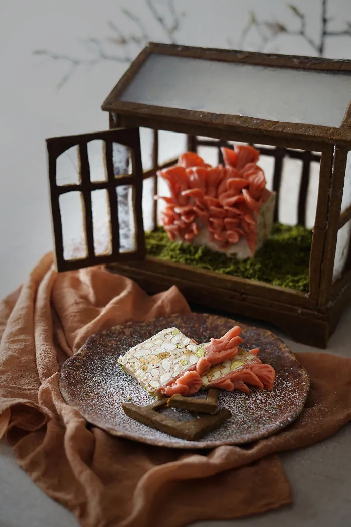 Pink Oyster Mushrooms In A Greenhouse