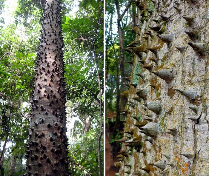 Nature Is Scary As Hell