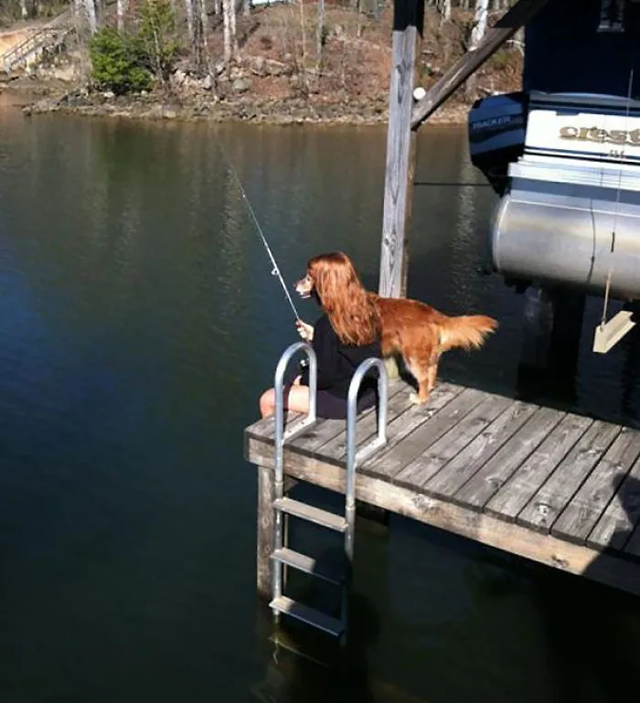 Perro pescando