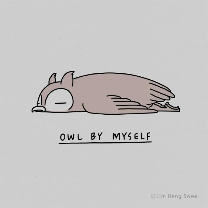 Owl