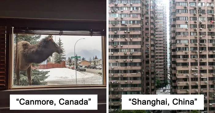 Insanely Popular Online Group Has People Sharing Their 'View From My Window' And Here Are The 40 Best Submissions