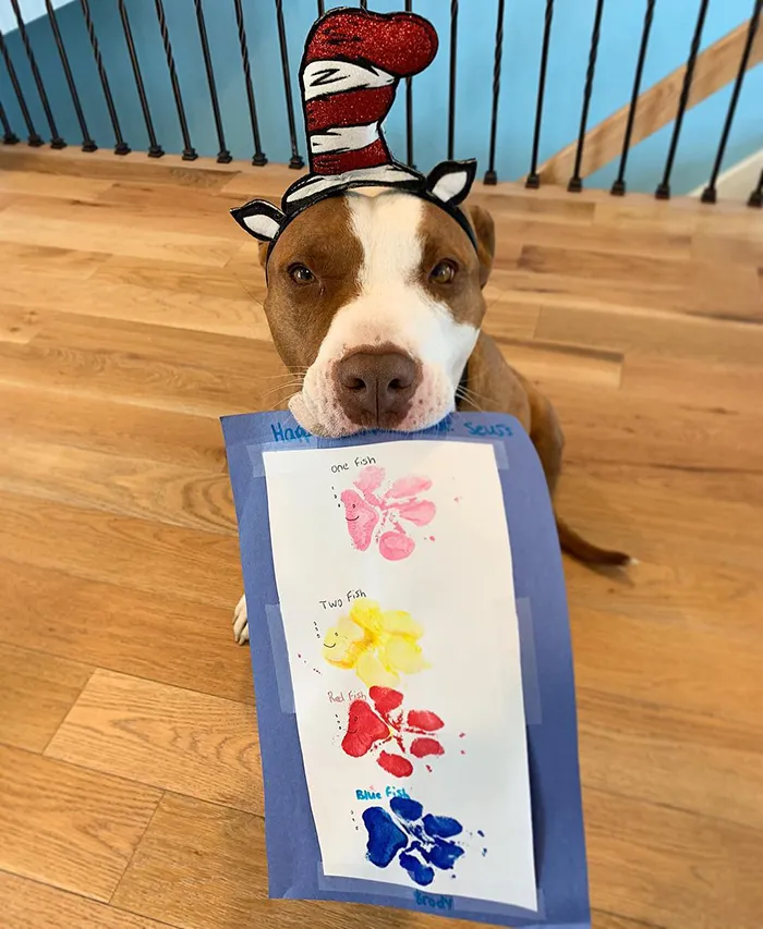 30 Adorable Works Of Art Made By Even More Adorable Pawcassos