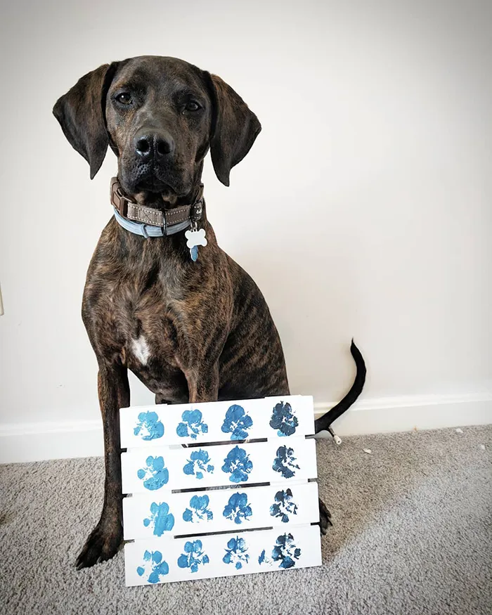 30 Adorable Works Of Art Made By Even More Adorable Pawcassos