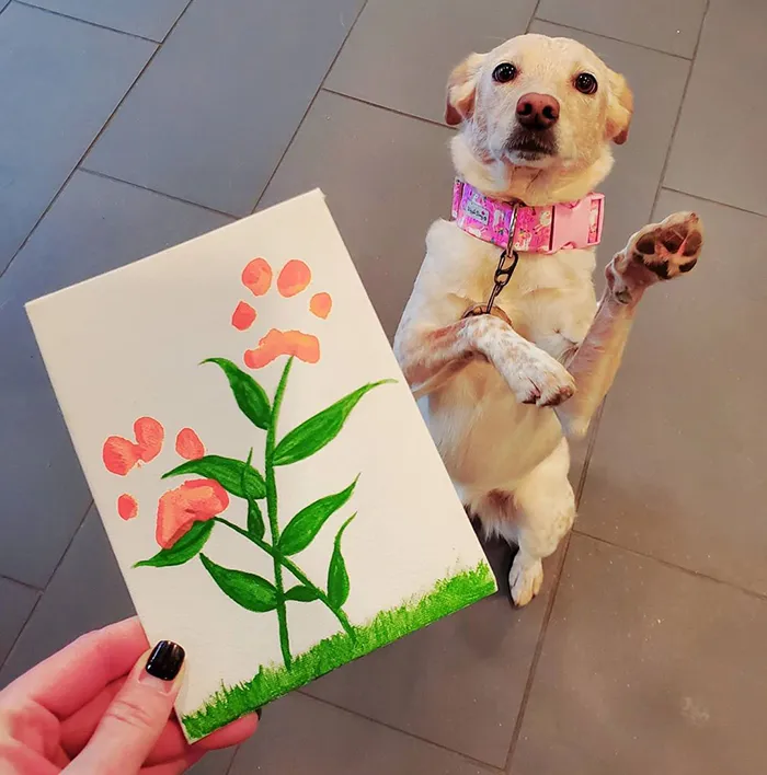 30 Adorable Works Of Art Made By Even More Adorable Pawcassos
