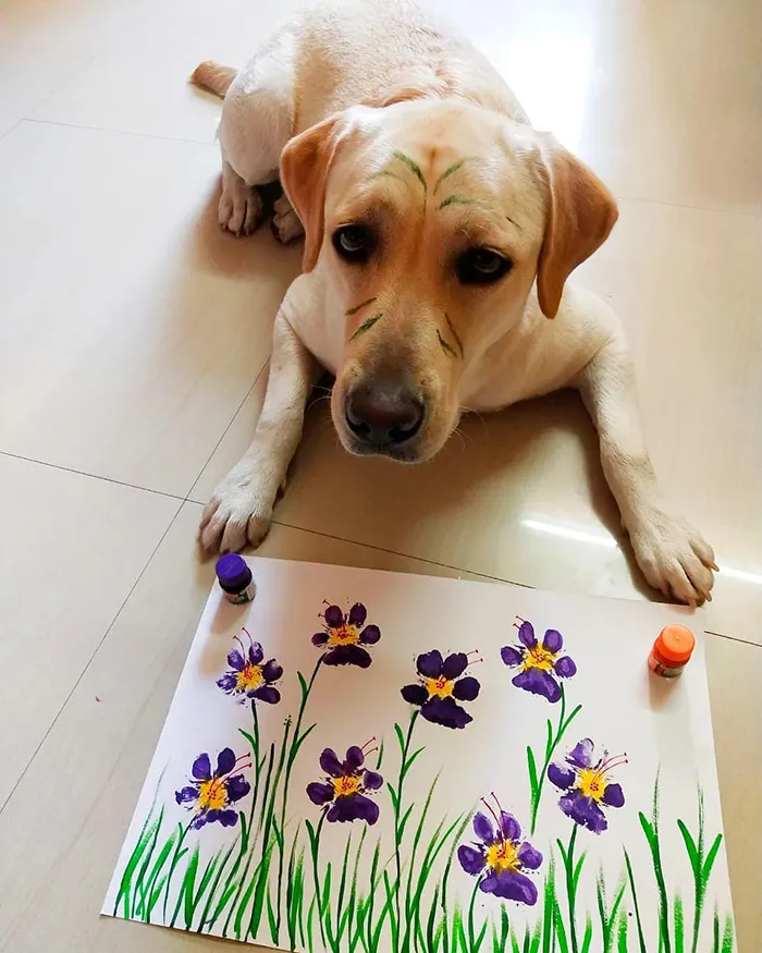 30 Adorable Works Of Art Made By Even More Adorable Pawcassos