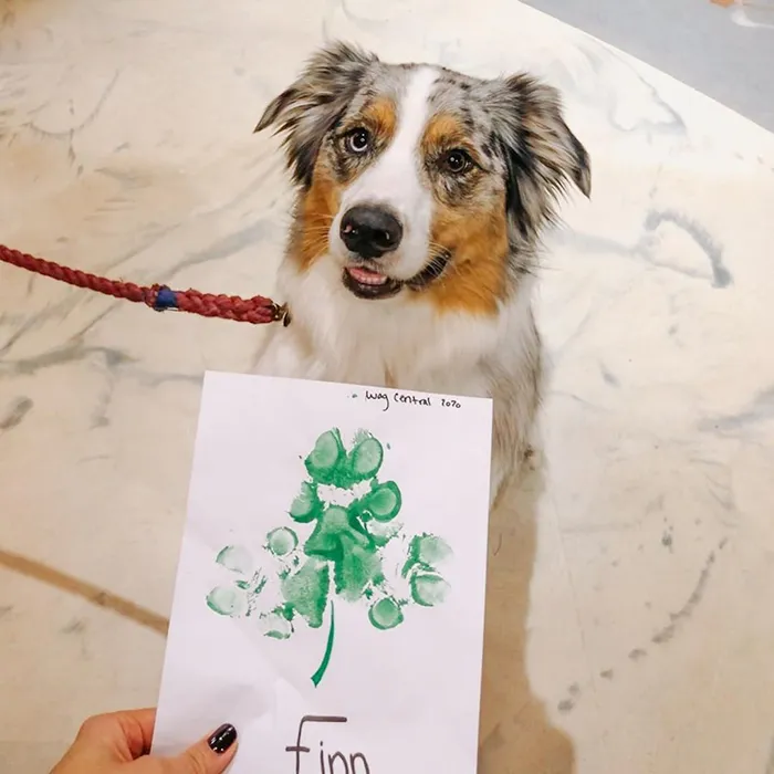 30 Adorable Works Of Art Made By Even More Adorable Pawcassos