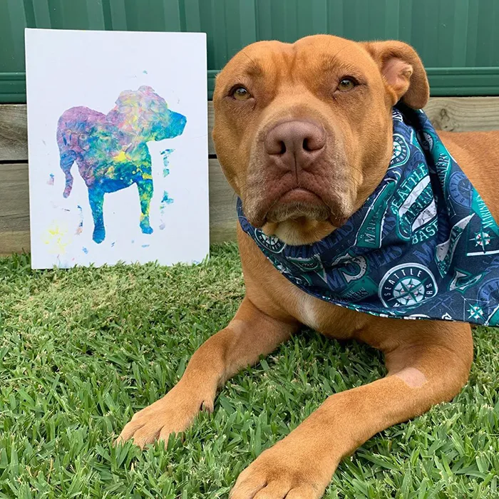 30 Adorable Works Of Art Made By Even More Adorable Pawcassos