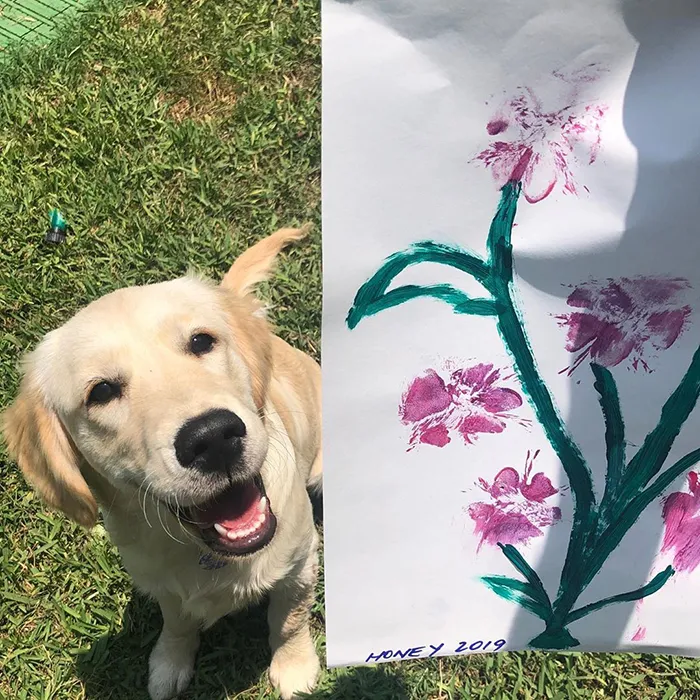 30 Adorable Works Of Art Made By Even More Adorable Pawcassos