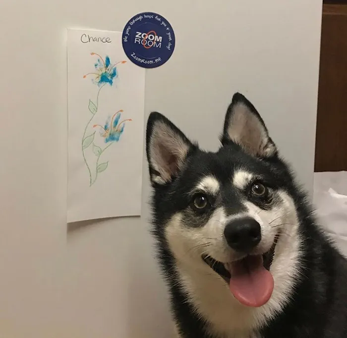30 Adorable Works Of Art Made By Even More Adorable Pawcassos