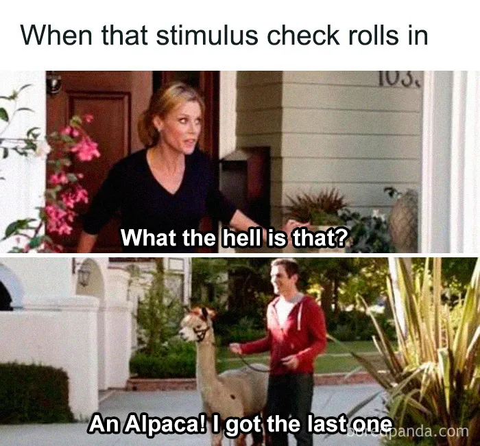 Americans Are Making Jokes About The $1,200 Stimulus Checks And Here's 33 Of The Best Ones