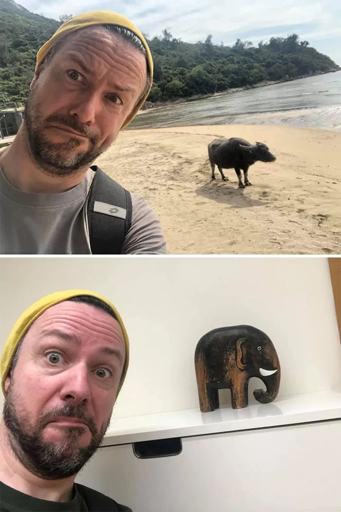 22 Of The Best Responses To The Quarantine Travel Challenge
