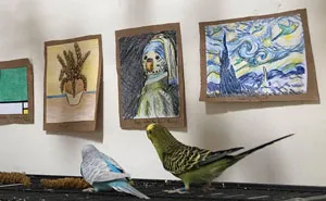 My Friend Created A Tiny Art Gallery For Her 7 Budgies