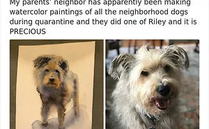 These 33 People Found Ways To Make The Best Out Of Quarantine