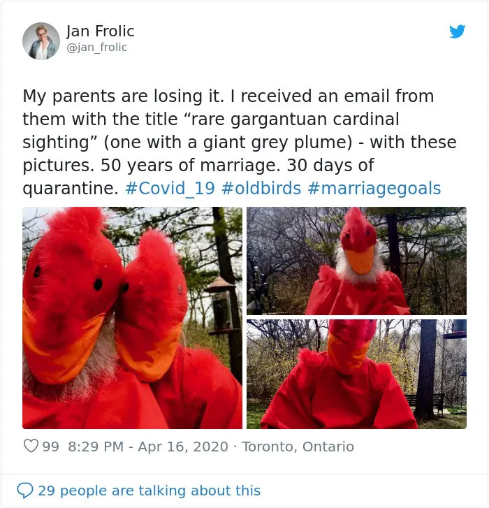 "Rare Gargantuan Cardinal Sighting"