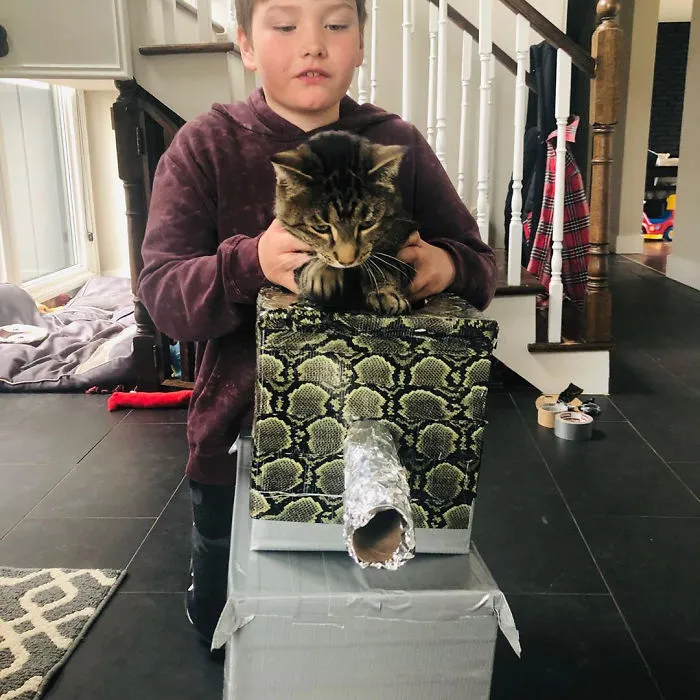 People Are So Bored During Quarantine That They’re Building Cardboard Tanks For Their Cats (30 Pics)