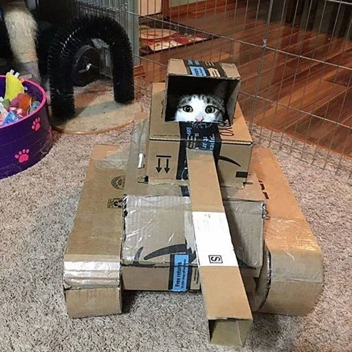 People Are So Bored During Quarantine That They’re Building Cardboard Tanks For Their Cats (30 Pics)