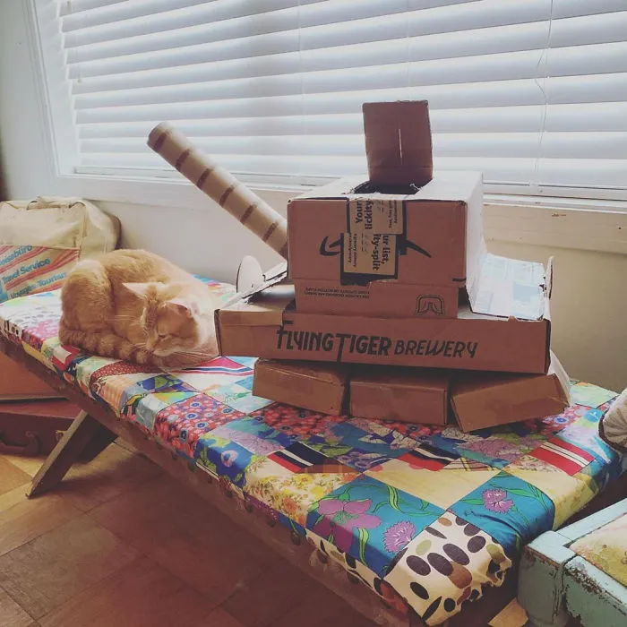 People Are So Bored During Quarantine That They’re Building Cardboard Tanks For Their Cats (30 Pics)