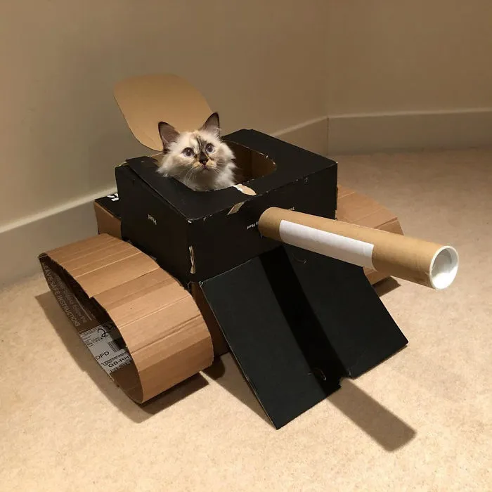 People Are So Bored During Quarantine That They’re Building Cardboard Tanks For Their Cats (30 Pics)