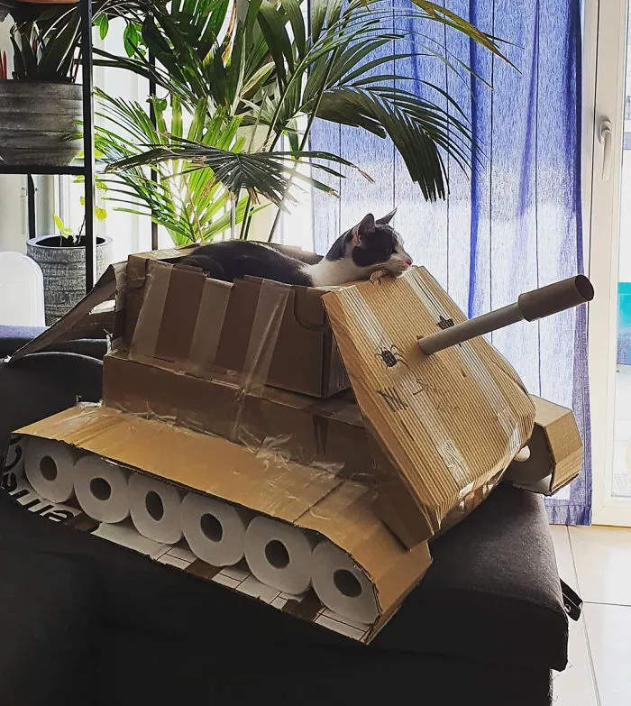 People Are So Bored During Quarantine That They’re Building Cardboard Tanks For Their Cats (30 Pics)