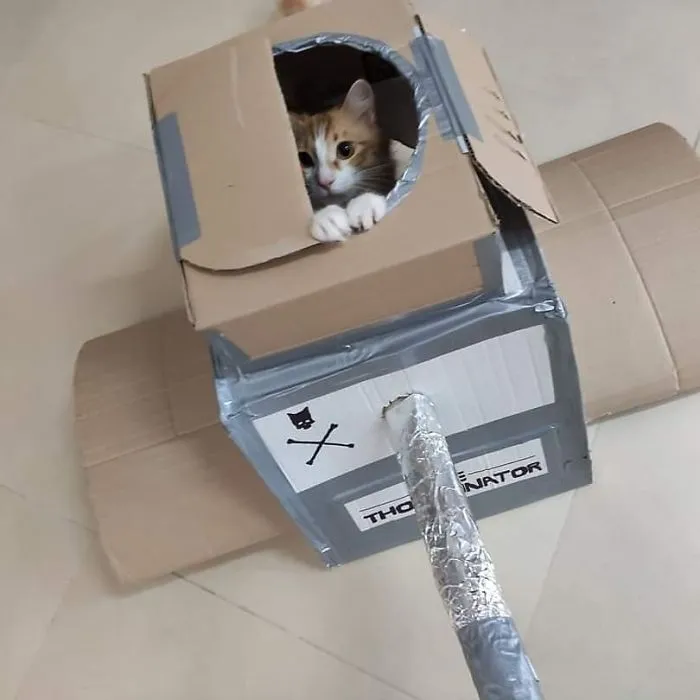 People Are So Bored During Quarantine That They’re Building Cardboard Tanks For Their Cats (30 Pics)