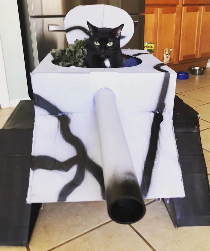 People Are So Bored During Quarantine That They’re Building Cardboard Tanks For Their Cats (30 Pics)