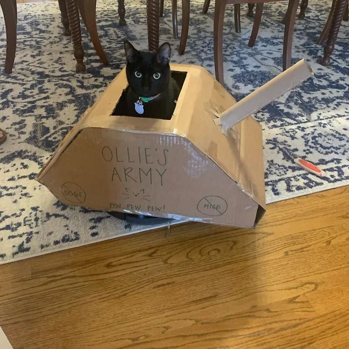 People Are So Bored During Quarantine That They’re Building Cardboard Tanks For Their Cats (30 Pics)