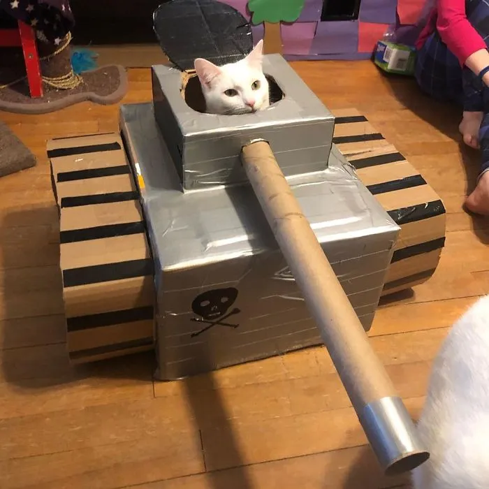 People Are So Bored During Quarantine That They’re Building Cardboard Tanks For Their Cats (30 Pics)
